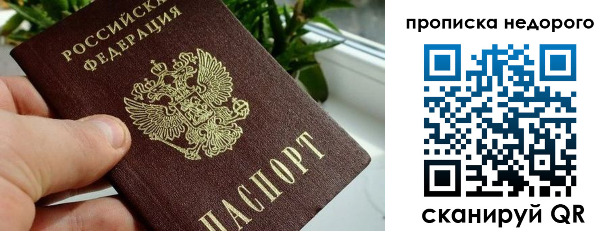 прописка для кредита в Сургуте